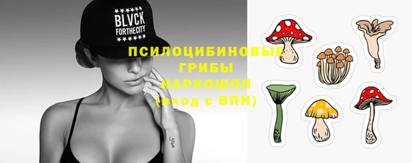 индика Абдулино