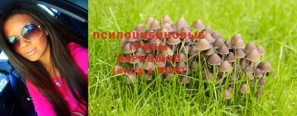 индика Абдулино
