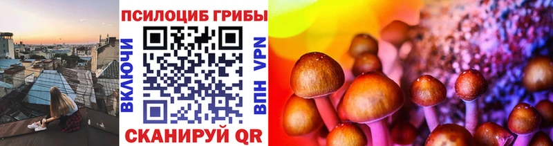 Псилоцибиновые грибы Psilocybine cubensis  купить   Фокино 